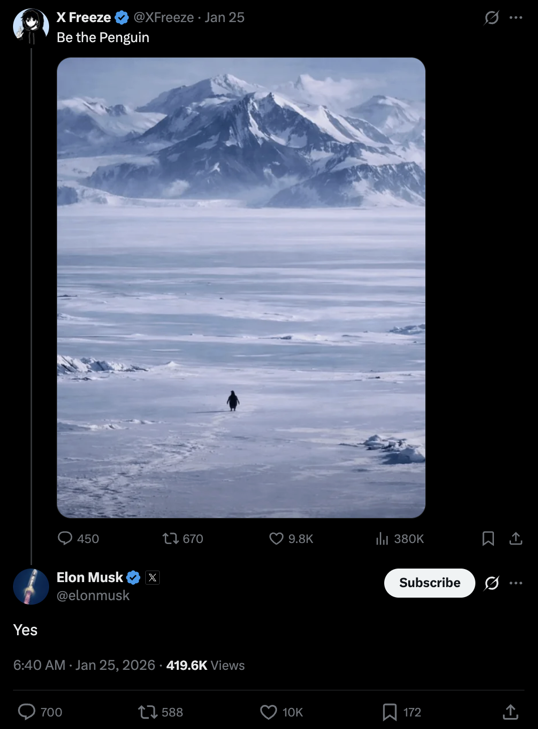 Elon Musk Reply